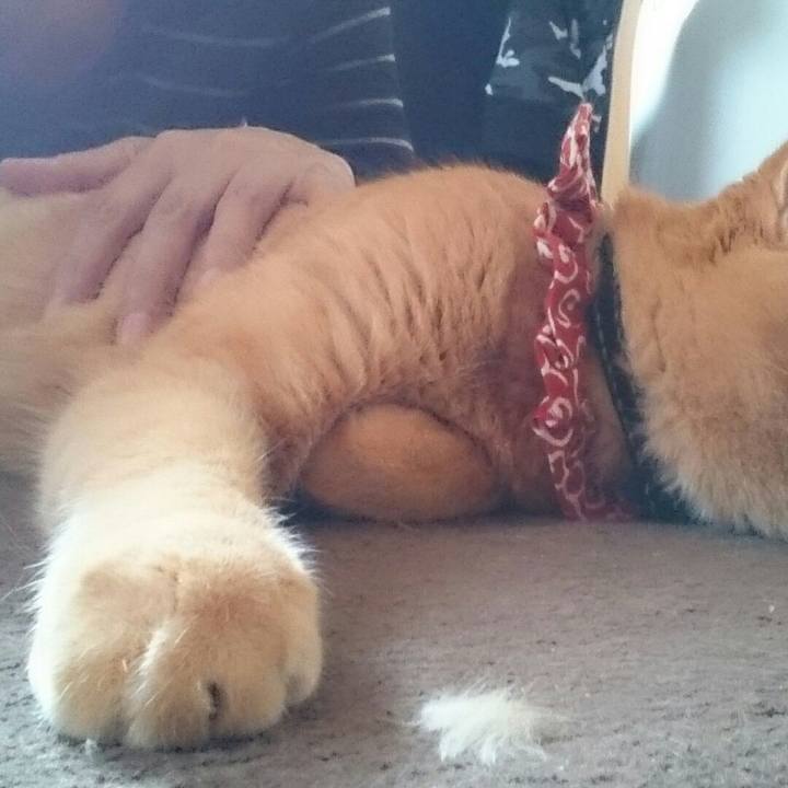 2f071211 7446 4bd5 937c 7959719a270c