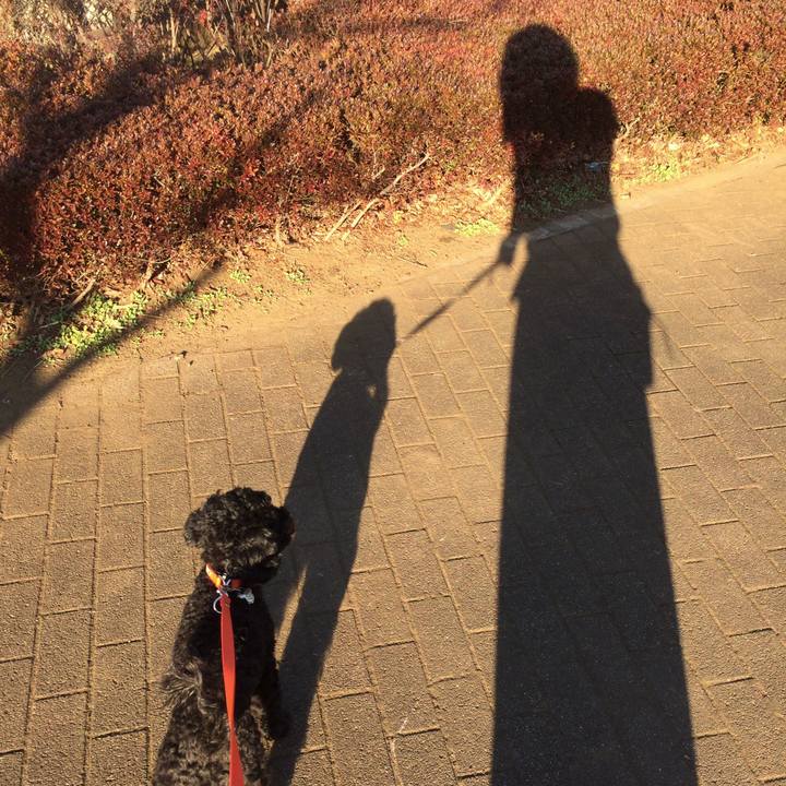 2f07a2a2 4341 41ab 9aec 83955db4891f