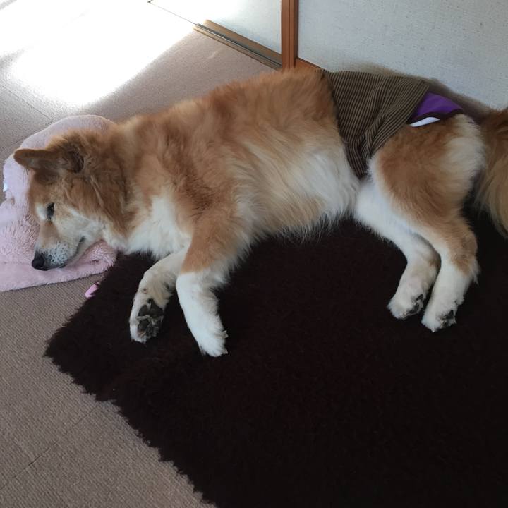 2f084ed8 3f3d 4452 9c0e 237b755b5ff0