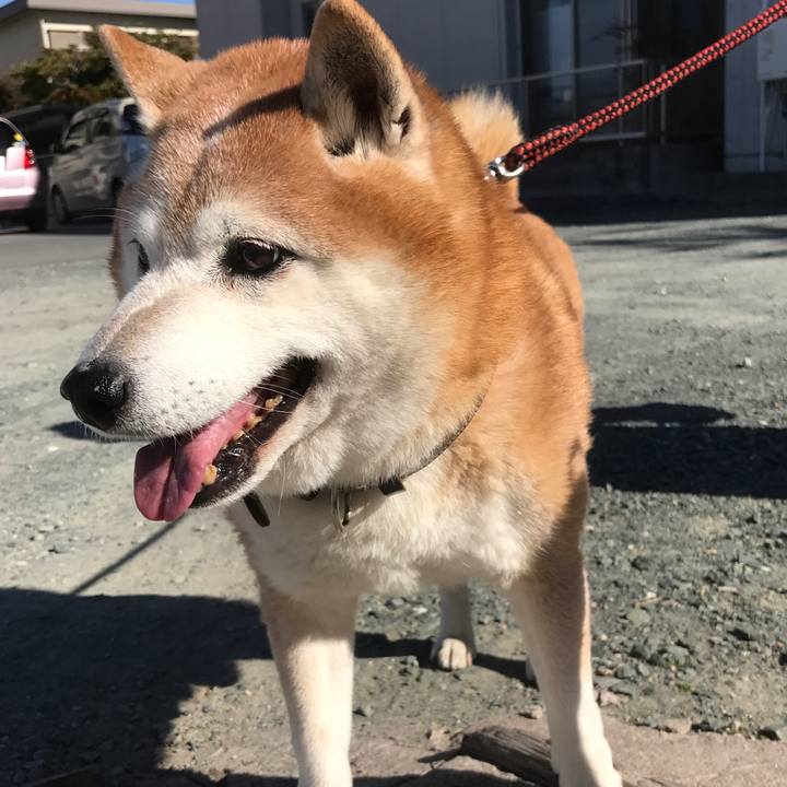 2f08ec61 b148 493c b621 5264e65e5760