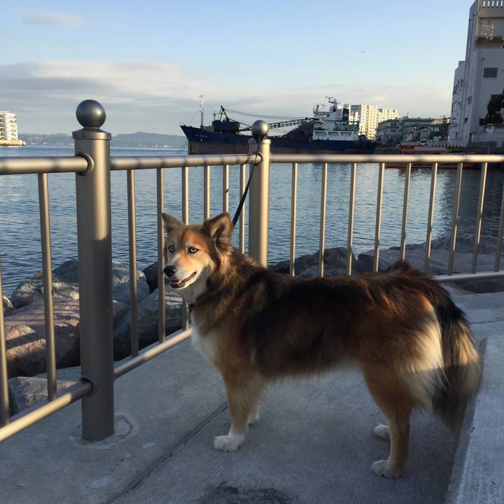 2f0920d1 3f62 43a3 a9fd ac286aa099a5