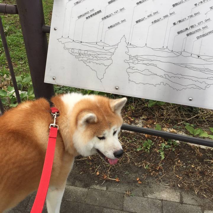 2f0928f6 9e9a 4d4e bea3 00afcbfc0bbb