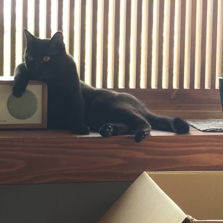 2f097a53 c86c 4e16 afc4 8f21ab48d20a