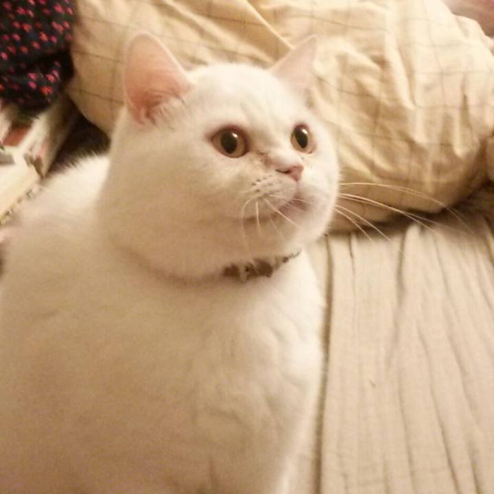 2f097c02 19ea 4474 a87b af1c2d788a53