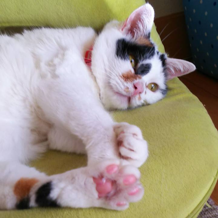 2f0985f9 ecb2 4ad9 a3d4 f3b6962099f5