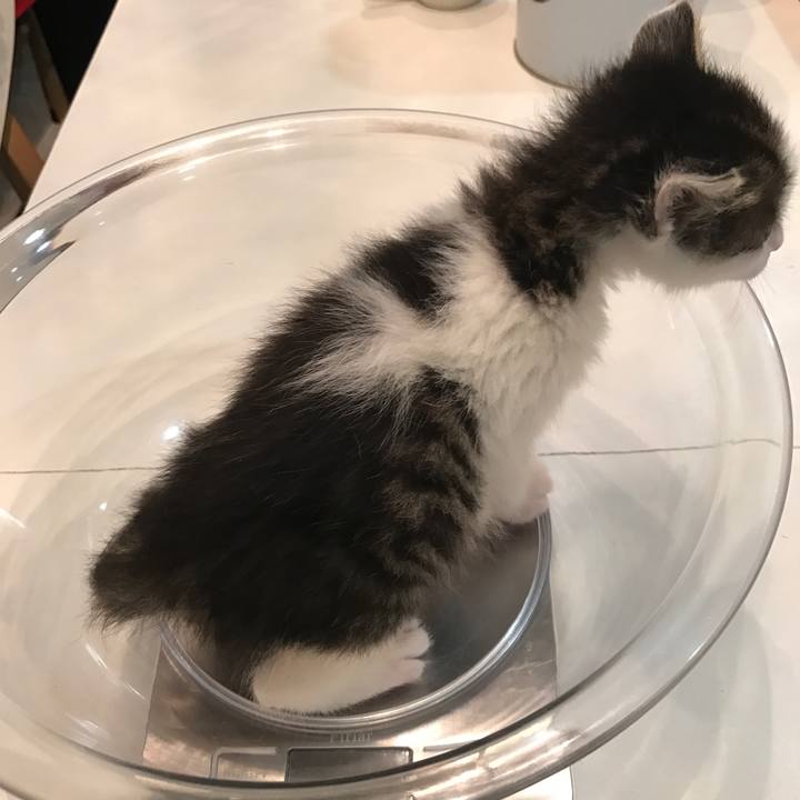 2f099805 b53a 45bc a57f a14085cca966