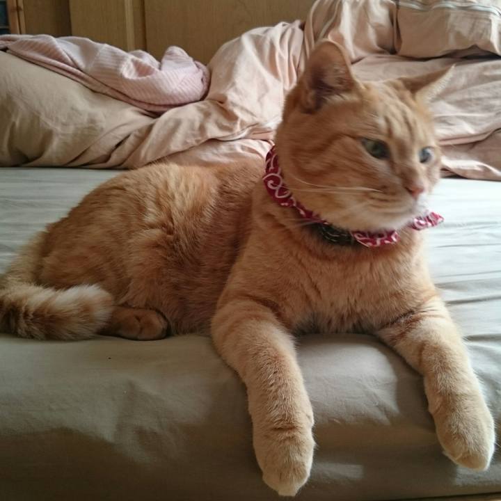 2f0a2a91 2ff5 49ad ad19 3c9fa2788969