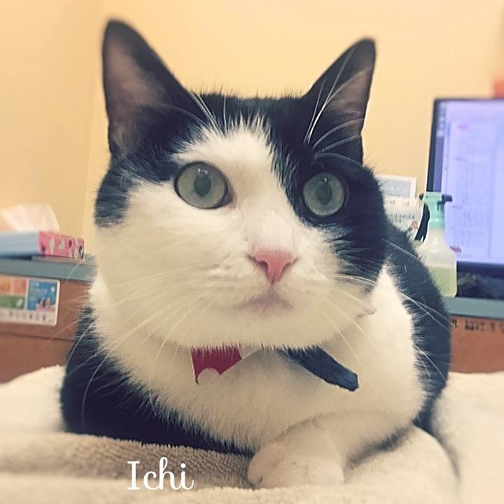 2f0c7158 9df0 4df5 b816 34b46efa4064