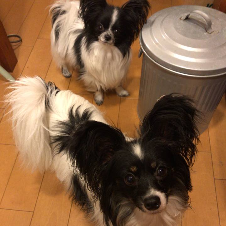 2f0c98cf b7c1 40c7 a069 9d4a94b9ec7f