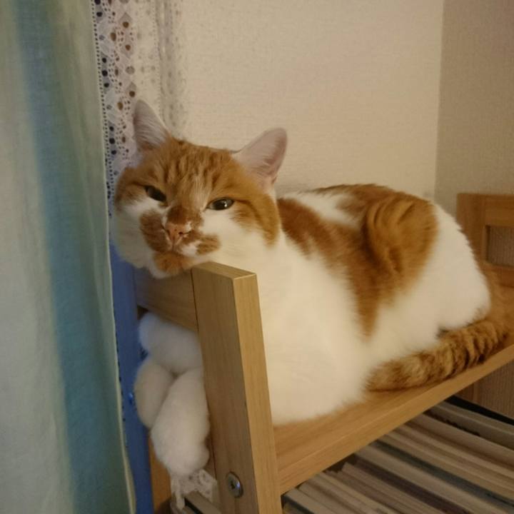 2f0cac24 eb56 4d37 a6b4 a492c22d7f05