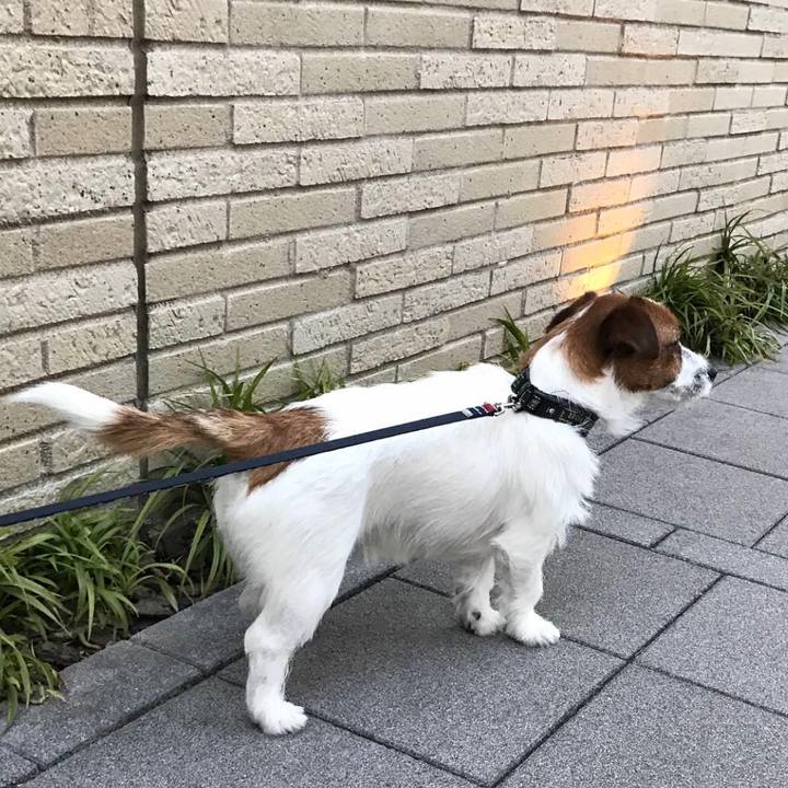 2f0cc416 4b11 4b92 a522 91fadcc21945