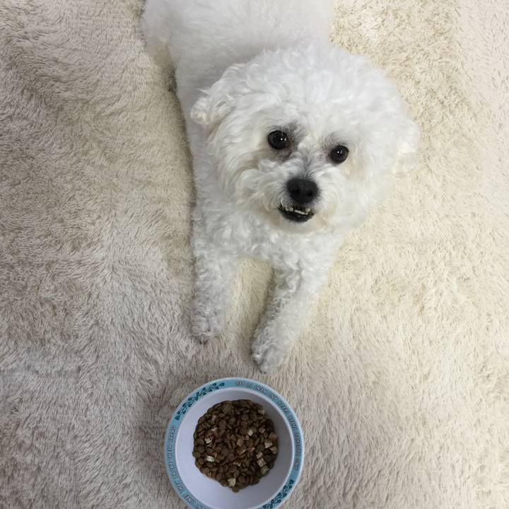 2f0cd6e0 fa72 4c65 8245 aa4dcec4eead