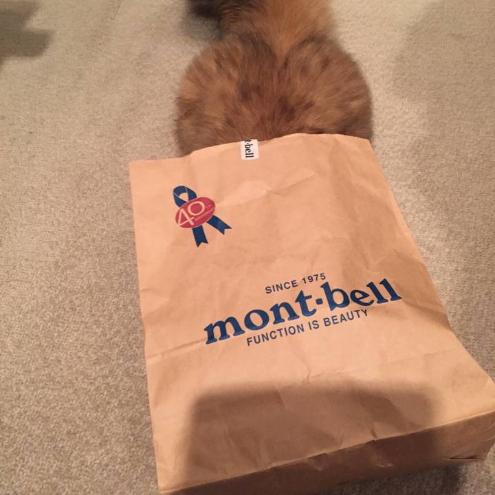 2f0d6d20 070a 42b1 9b09 7f696eb12964