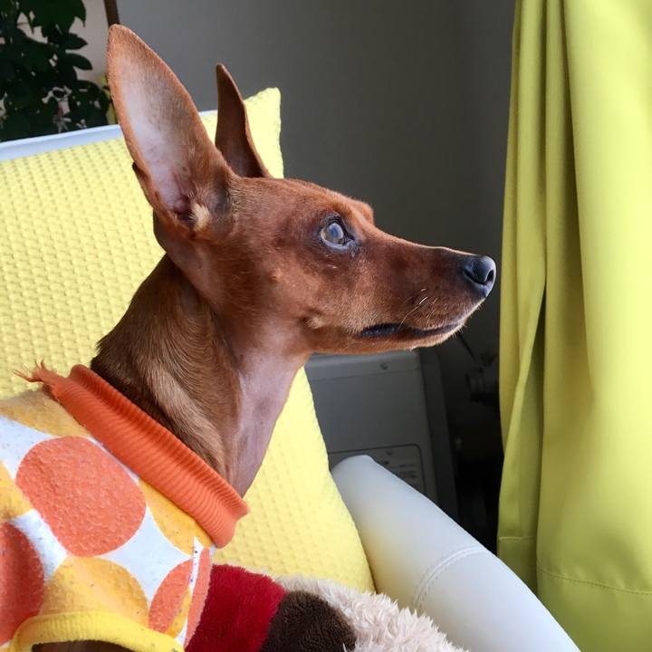 2f0d73b8 0954 43bf a48d 4737505576b0