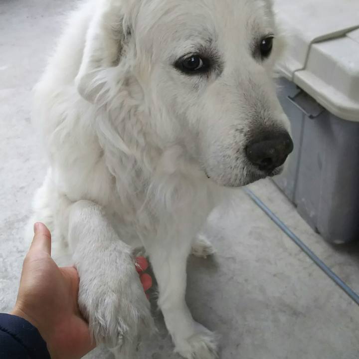 2f0d7b51 17e9 482f 92f0 eef07b5d258b