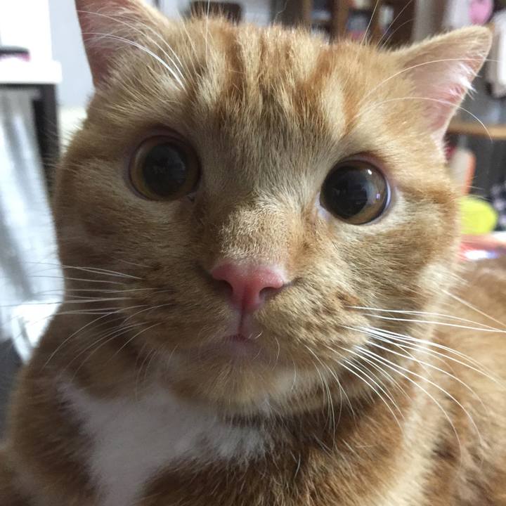 2f0d8559 aca6 41b5 a215 0a504c7e7a50