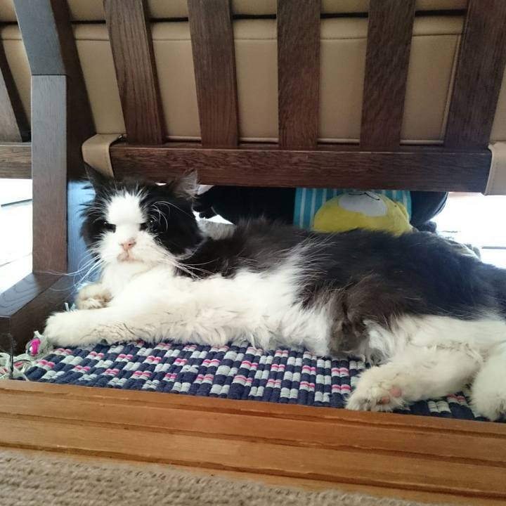 2f0e37c9 a030 42be bf83 df65c9cbd991