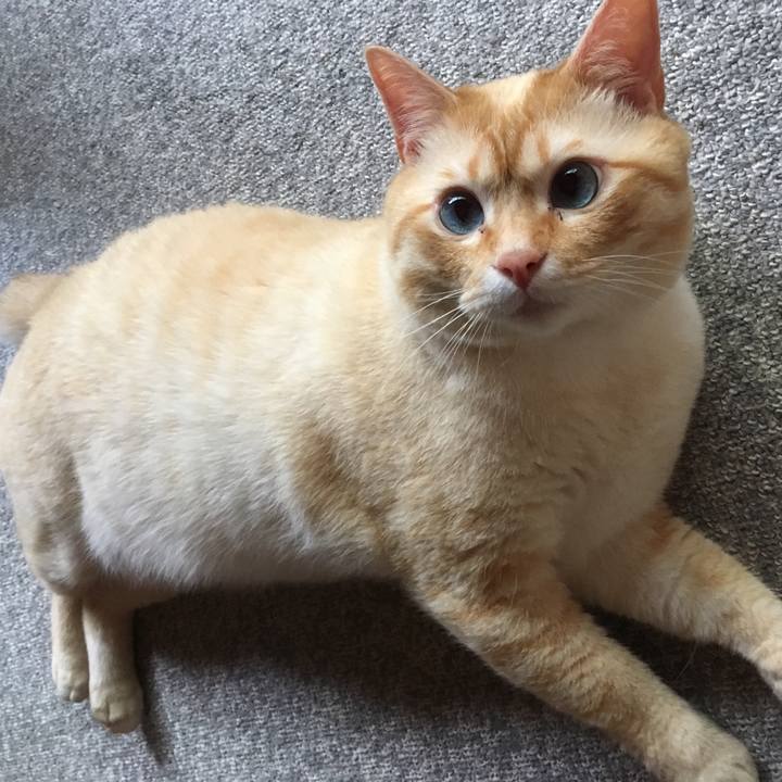 2f0edc98 cc3b 4383 a3af fc20b33c59ee