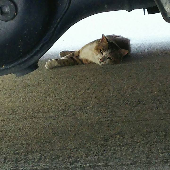 2f0ee23f 056c 4ab9 a543 96fd2db89e8c