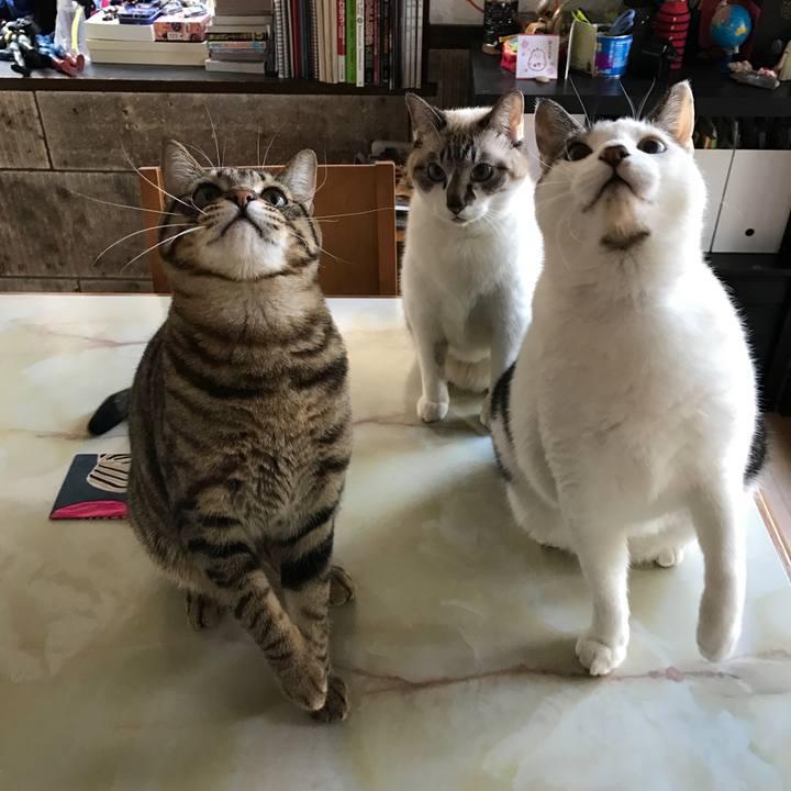 2f0fb979 1cf4 466d b70b 6eb38a0509d2