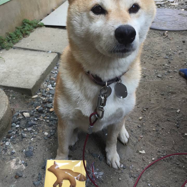 2f0fe9b2 8791 40fa ae11 03c7c3ab172a