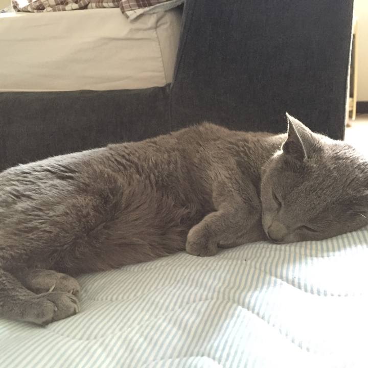 2f10c3d3 8bab 48ae b117 5217af9f4dd3