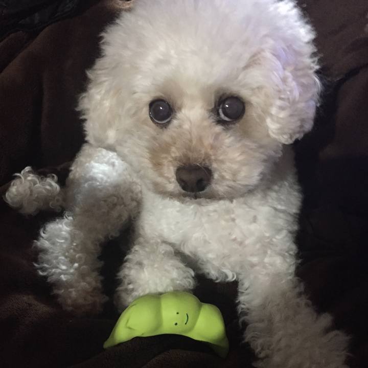 2f10d093 2e9a 4afc b8c5 5b36b33bd2e7