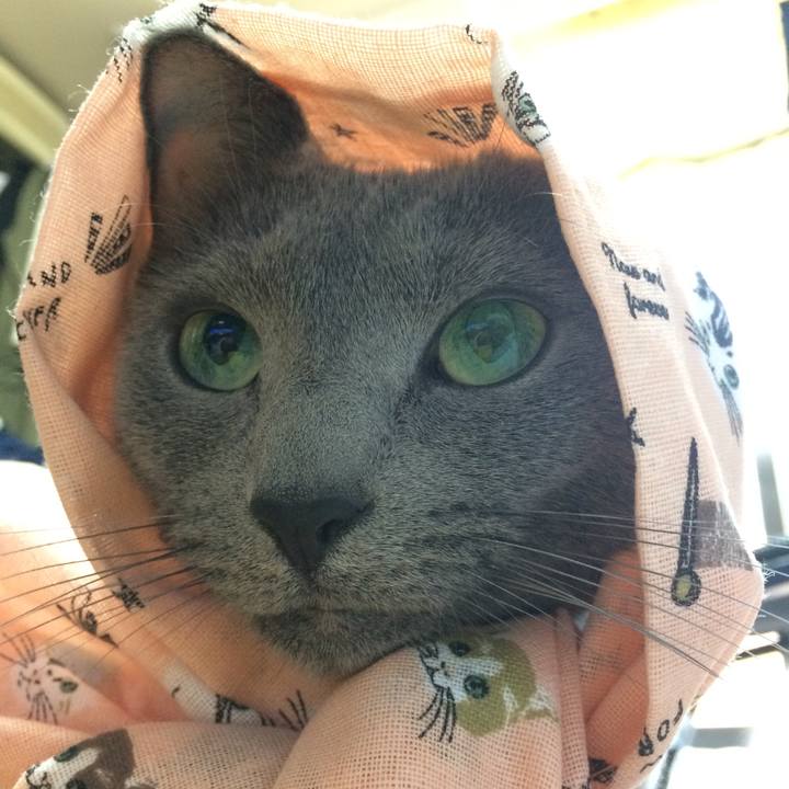 2f11465e dd7a 4ba4 8935 e5943a165ab5