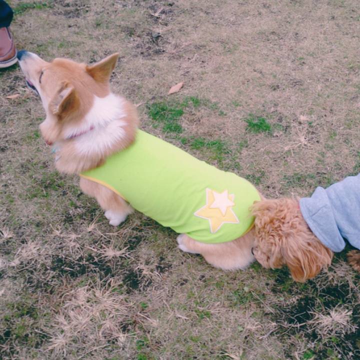 2f1192e0 1fa7 4678 96bf 71f0c285152a