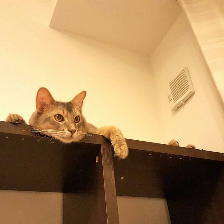 2f11a145 ff91 4529 92ed 04cd4b4b8cca