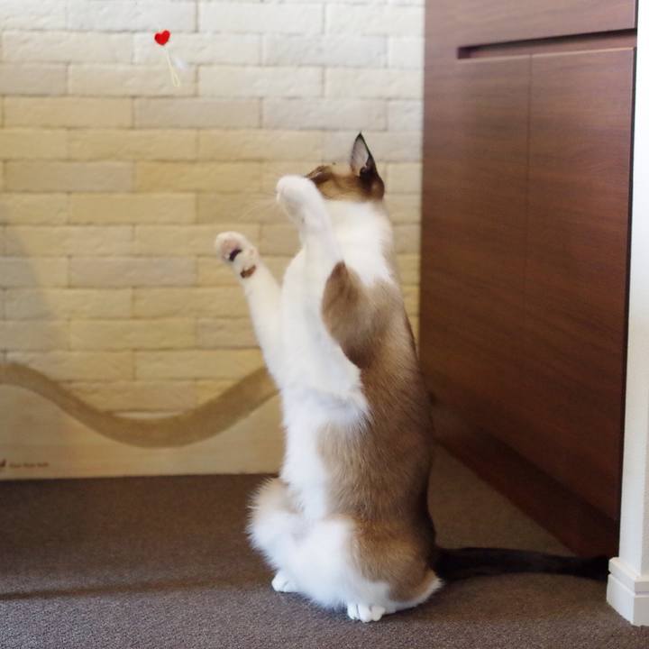 2f12047c 9902 4f9f 83e3 d3f4b5a86eb3