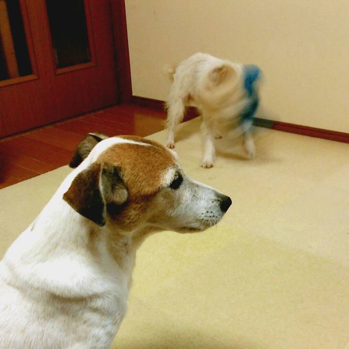 2f124992 88dc 492a be85 4b00476d829f