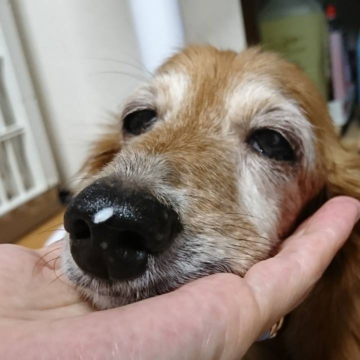 2f125e91 78e2 46ac 9c25 cf2bba0f0435