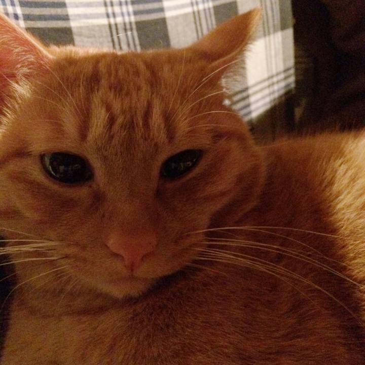 2f146521 f29b 4c97 a990 270e9ae295a0