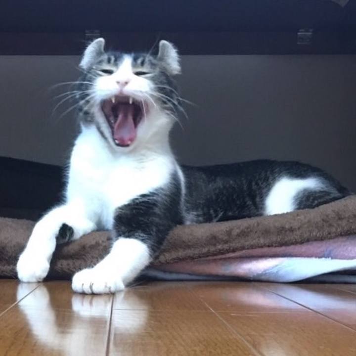 2f14748b 7afc 4e71 b1e9 4230a3ad2574