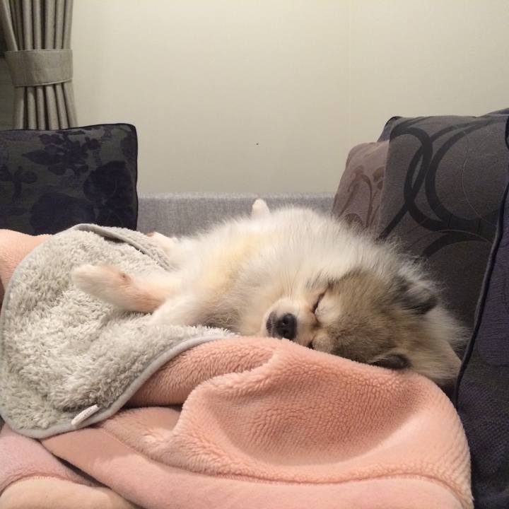 2f16124a 6b60 47bd 816b d167c069bf22