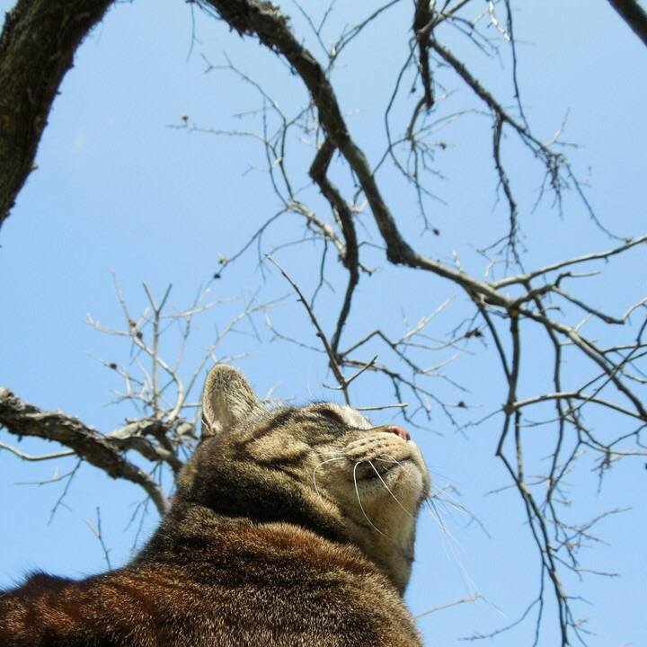 2f1661a6 7dd5 4608 9732 ffd2f118c668