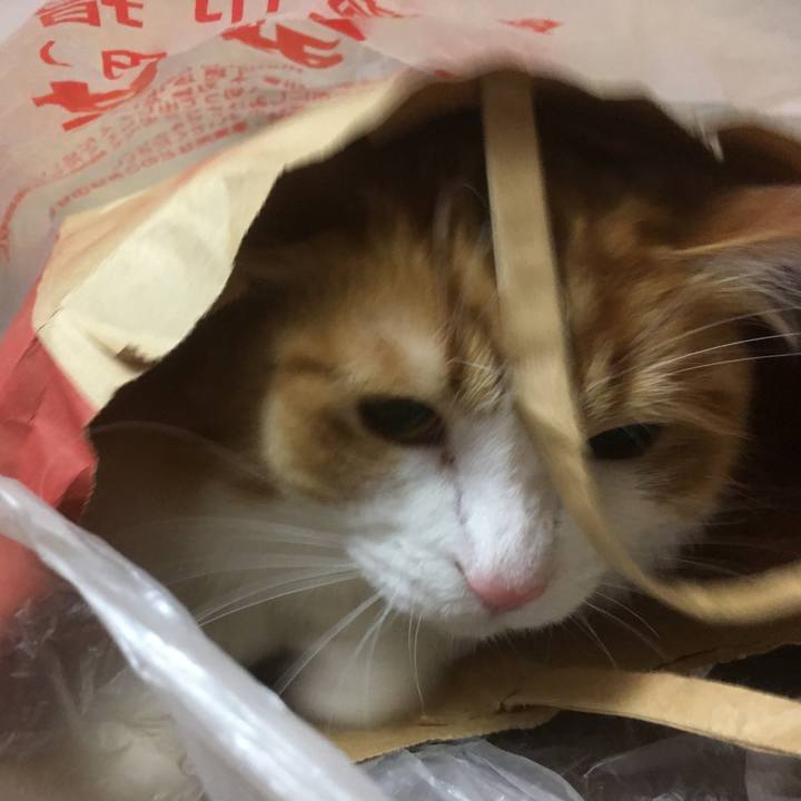 2f168abd 9dd1 4d1a b64c ebbec281bb93