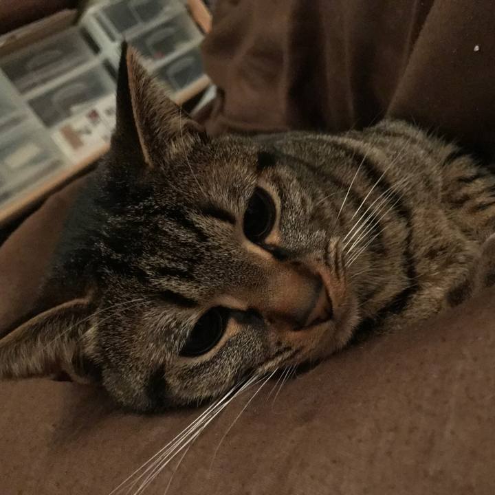 2f16afda e79e 4005 8635 d3574b419ce9