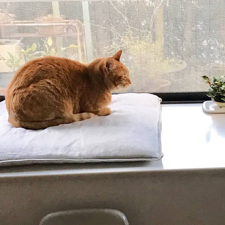 2f16c8f6 dce2 47a7 a627 e74d3f783a8f