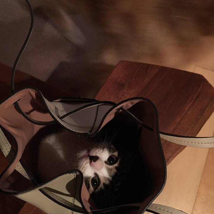 2f171343 2df2 4bbb 8b10 8da9c68bc849