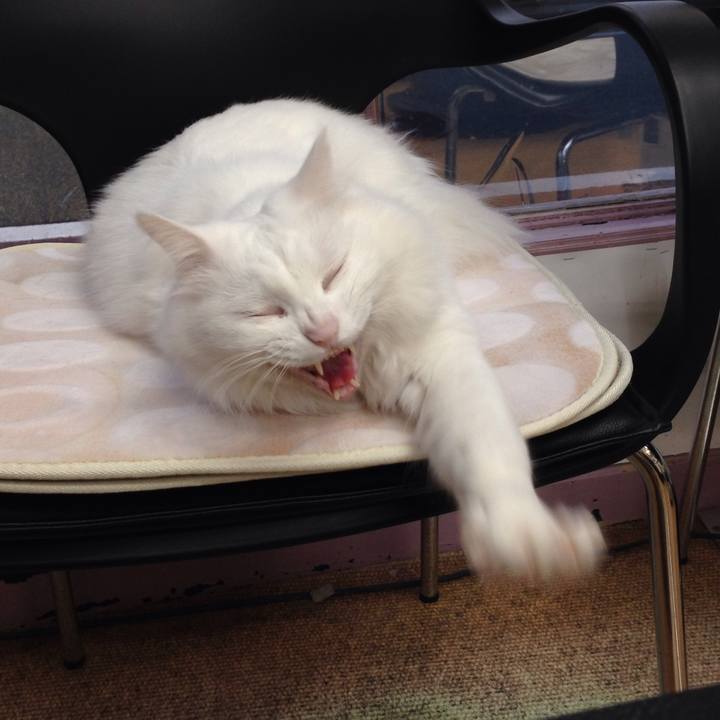 2f171ade 609f 4425 9e35 0cd171d98c1e