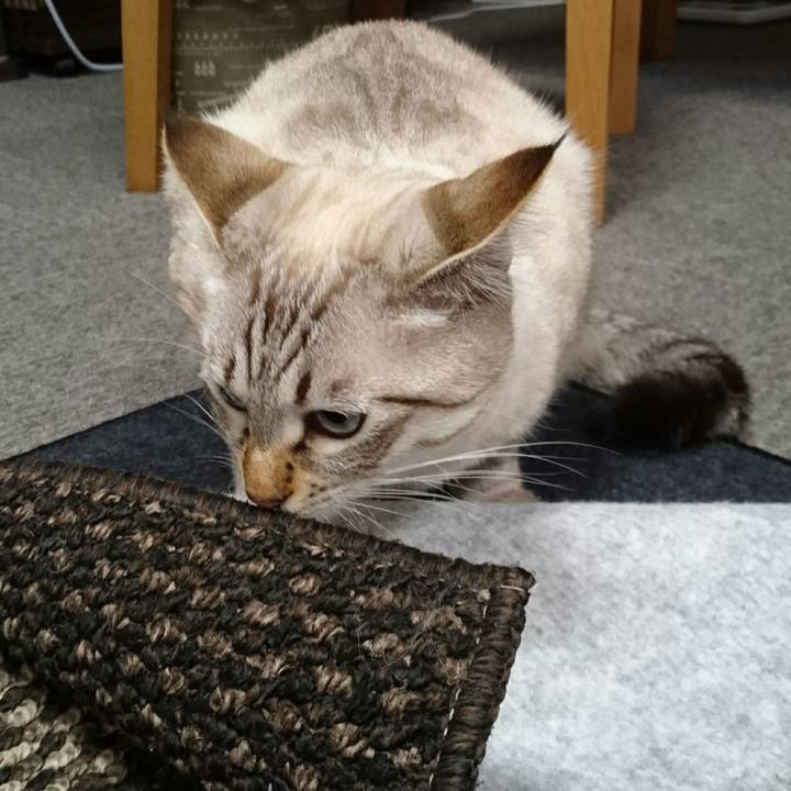 2f174bde 0e1b 42db b386 655992c4ade9