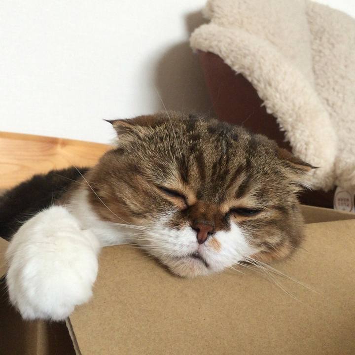 2f17b356 258e 4361 b322 cff7402935cd