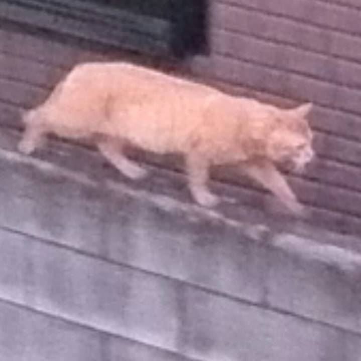 2f187ff0 46e6 4520 8079 74f61fb5c0fb