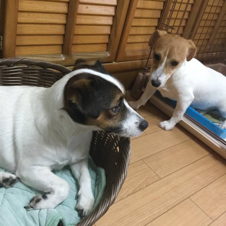 2f18fd21 53d7 47a5 b287 154bc70aab8d