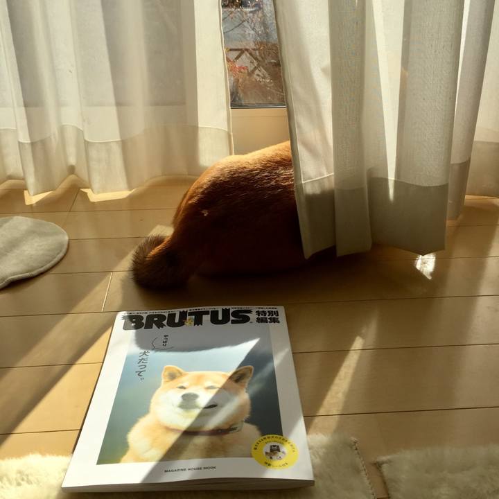 2f19241b 8c32 474f a758 405548cc530e