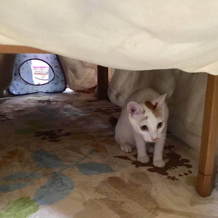 2f196ed8 e28d 4303 80fd 5dbecd2bbf30