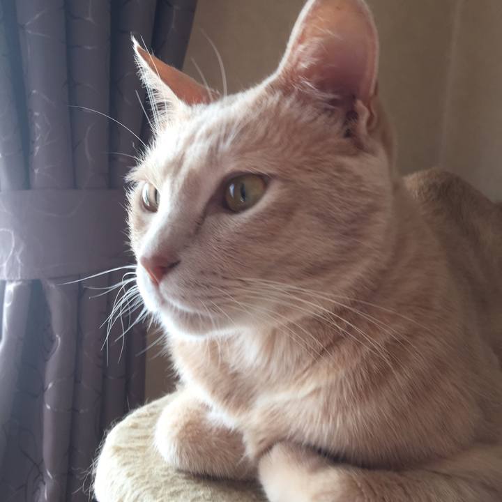 2f199fd7 9e47 4d1c 816b 52bbeb61ae83