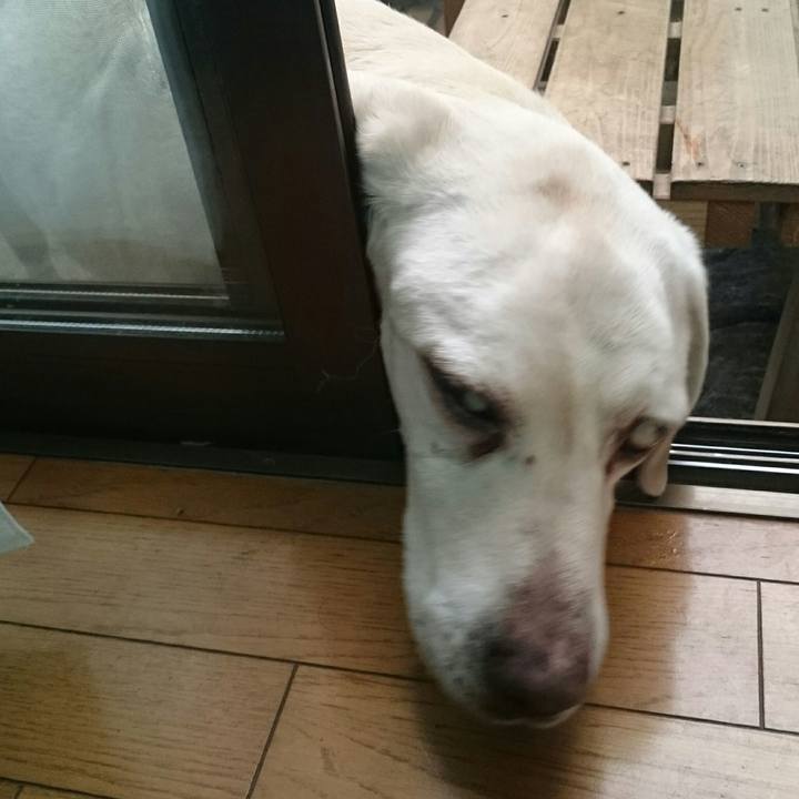 2f1a1d47 1106 44ac 84a5 68085bdab63d